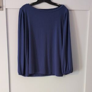 Ann Taylor Elegant Blue Blouse